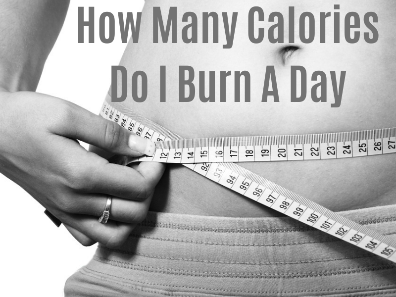 How Many Calories Do I Burn A Day To Lose Fat?