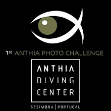 Anthia Photo Challenge
