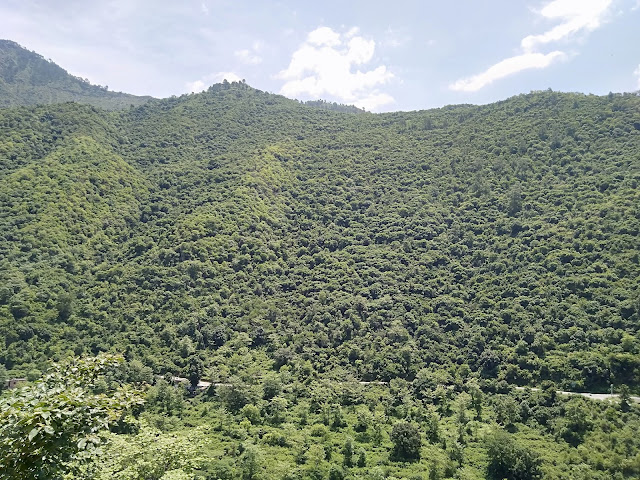 Panoramic View Near Rishikesh