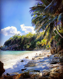 Plage de rêve dominicaine dream beach paradise Plage de rêve dominicaine dream beach paradise dominican
