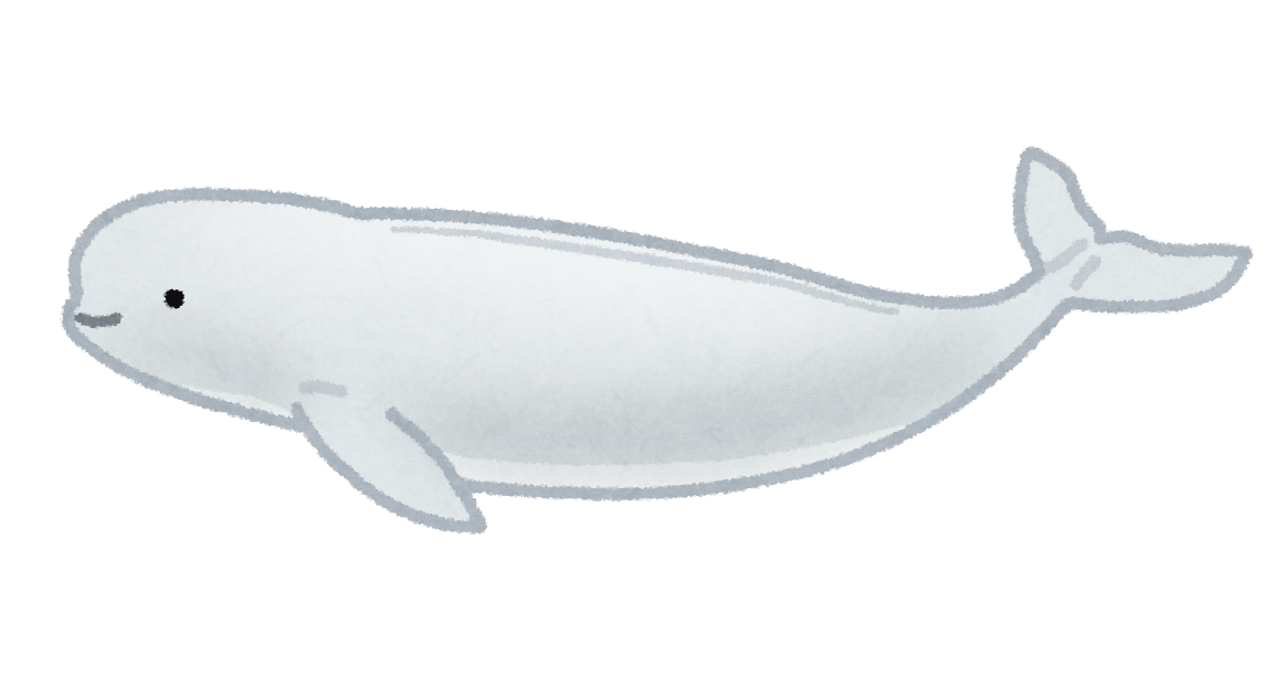スナメリのイラスト 鯨 かわいいフリー素材集 いらすとや