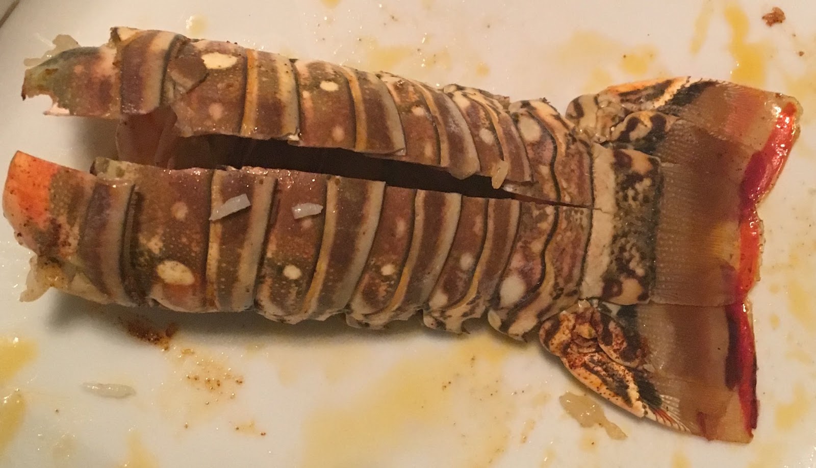 . Warm Water vs. Cold Water Lobster