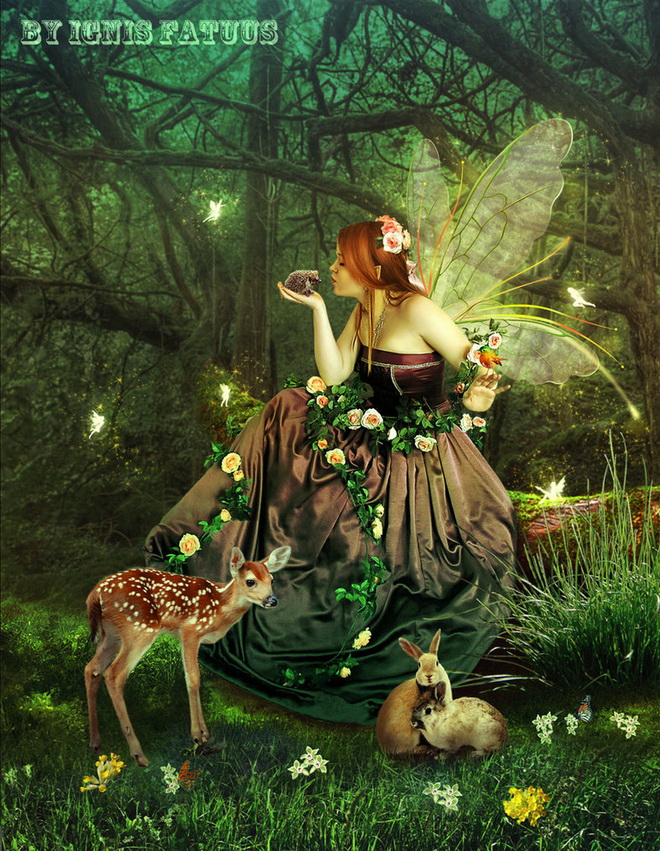 AURA: FAIRY / ANGEL PICTURES