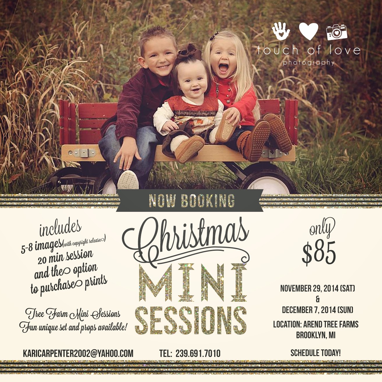 Touch of Love Photography 2014 Holiday Mini Sessions Brooklyn, MI
