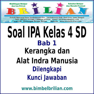 Soal IPA Kelas 4 SD BAB 1 Kerangka dan Alat Indra Manusia Dan Kunci Jawaban Soal IPA Kelas 4 SD BAB 1 Kerangka dan Alat Indra Manusia Dan Kunci Jawaban