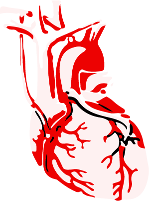 egészségügyi szív bypass