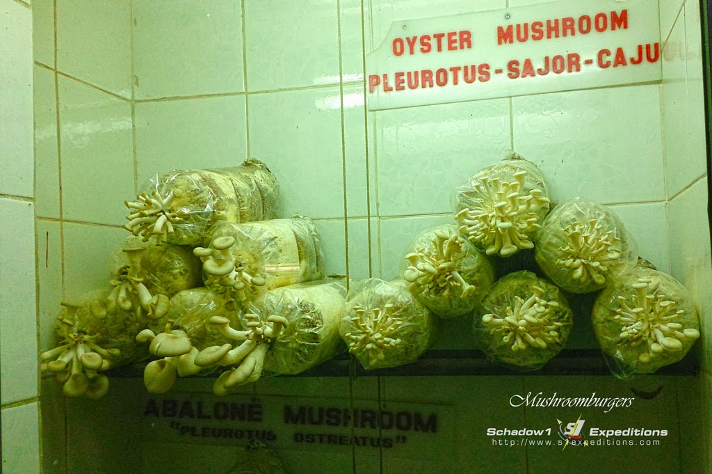 The Mushroomburger One of Tagaytay's famous fast food since the 80's