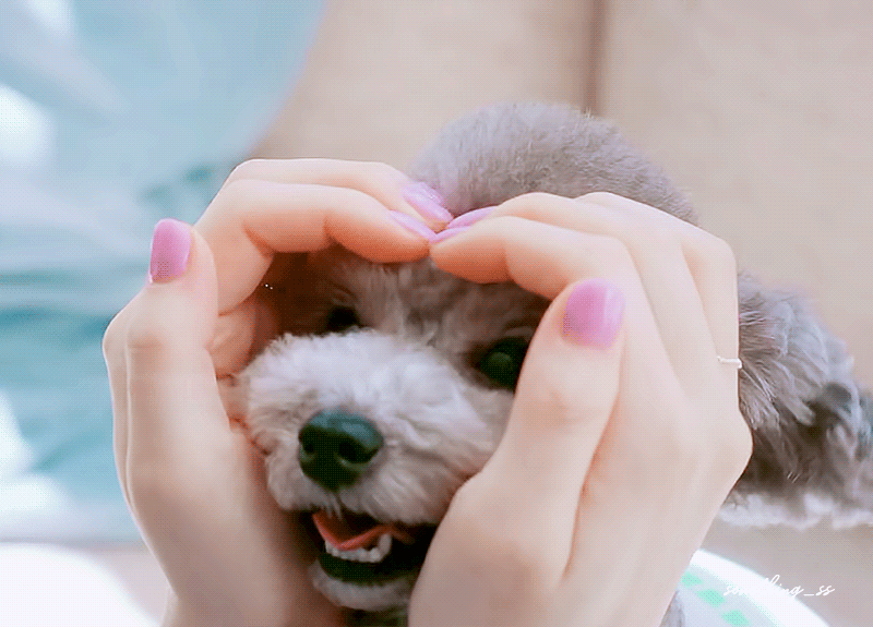 태연과 반려견 제로가 함께한
