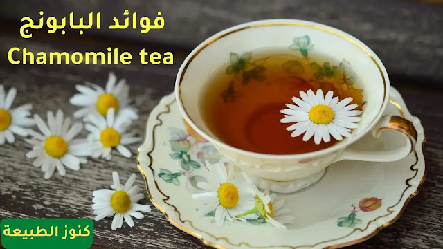 فوائد البابونج : 10 أسباب لاستهلاك شاي البابونج , البابونج