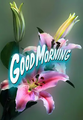 Good Morning Images Good Morning Images