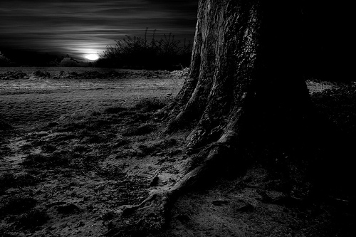 DARK HOUR OF THE NIGHT