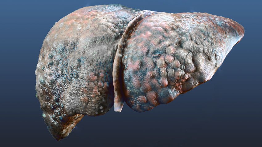 Grupo do bem estar e da felicidade : #covid19 #covi #coronavírus # Grupo do Bem Estar e da Felicidade : #COVID19 #COVI #Coronavírus #