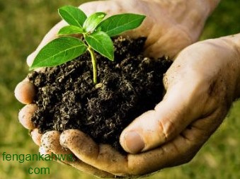 أسهل طريقة لتخمير و لعمل السماد العضوي أو الكمبوست Youtube