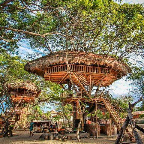 Tree house Nusa Dua Bali,things to do in bali,bali destinations guide map for couples families to visit,bali honeymoon destinations,bali tourist destinations,bali indonesia destinations,bali honeymoon packages 2016 resorts destination images review,bali honeymoon packages all inclusive from india,bali travel destinations,bali tourist destination information map,bali tourist attractions top 10 map kuta seminyak pictures,bali attractions map top 10 blog kuta for families prices ubud,bali ubud places to stay visit see