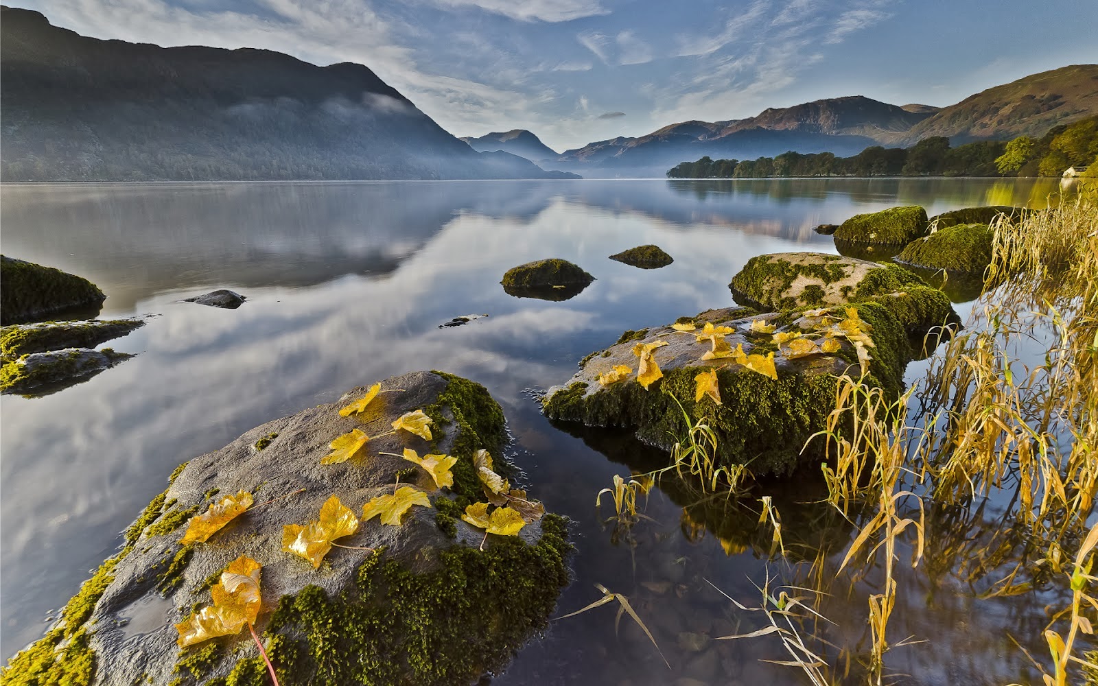 Nature Hd Nature Hd