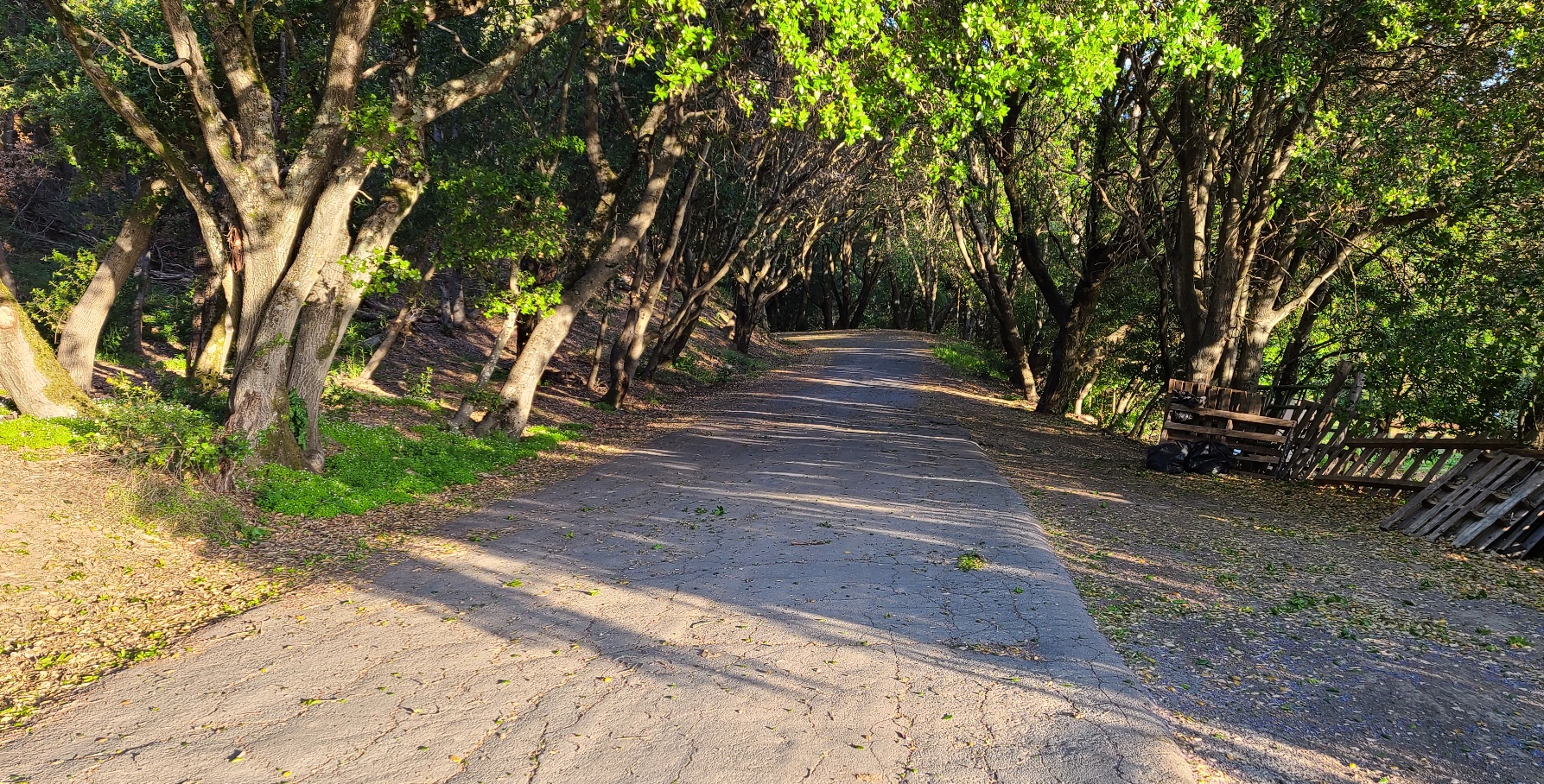 How to Avoid Being BikeJacked