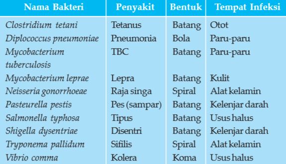 Jenis Bakteri Yang Menguntungkan Dan Merugikan