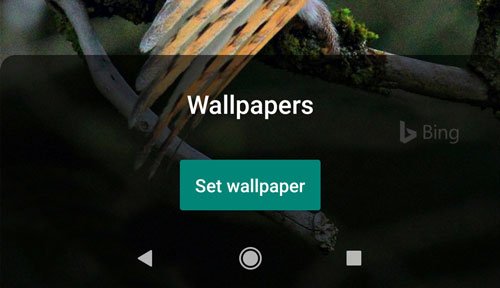 매일 Bing 배경을 Android 배경 화면으로 자동 설정
