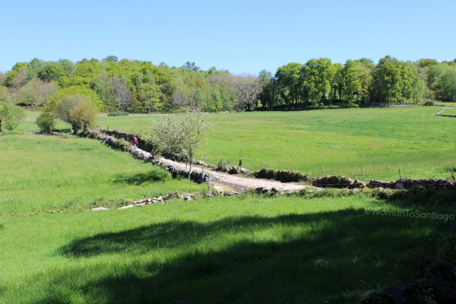 camino-de-santiago-frances-barbadelo-a-mercadoiro-camino-peregrinos