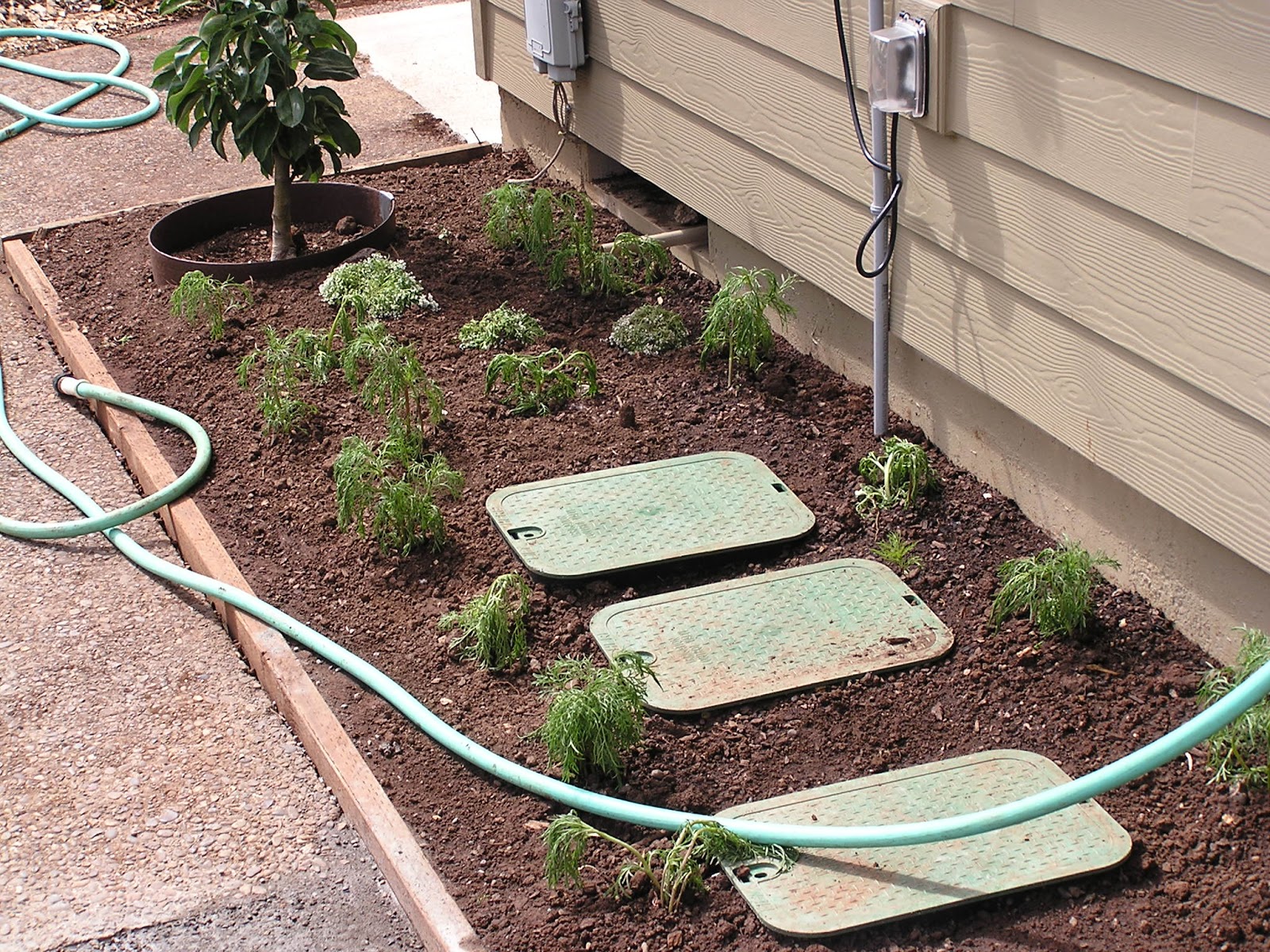 Linda's Garden: Automatic Drip Irrigation!!