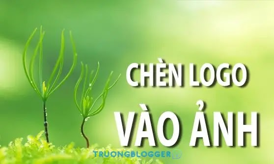 Cách chèn Logo, Watermark, Chữ vào ảnh hàng loạt Online