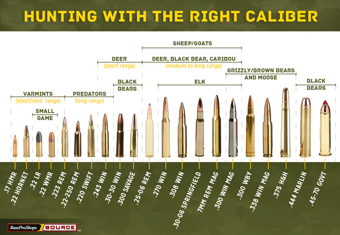 Hunting Caliber Suitable Game Chart