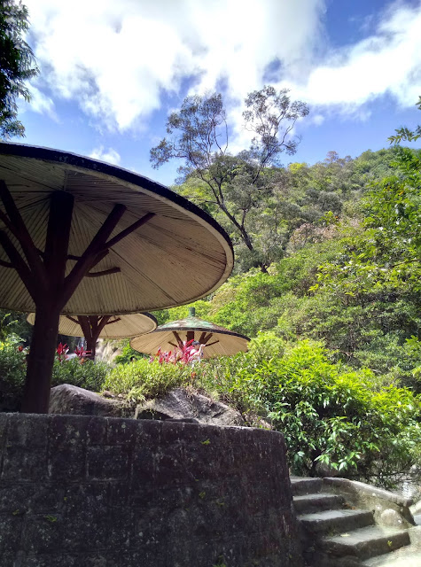 【台北市內湖區 / 旅遊 / 步道健走】 內湖半日健走 大溝溪 圓覺寺步道 瀑布 白石湖吊橋 同心池