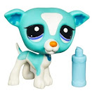 Littlest Pet Shop Singles Greyhound (#2526) Pet