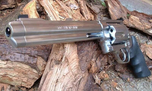 There's always one that's here to screw up the program.: Cool guns...