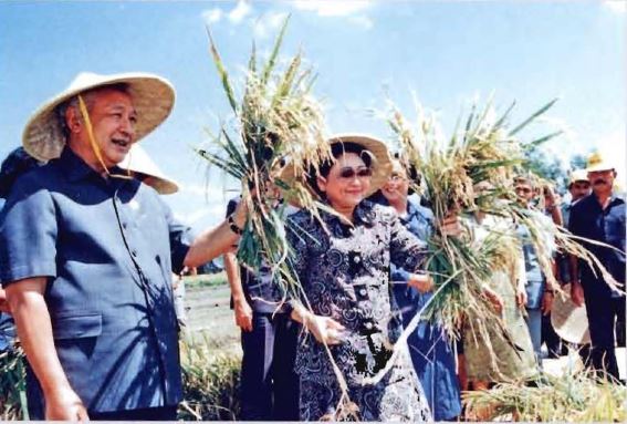 Revolusi Hijau Pada Masa Orde Baru Dengan