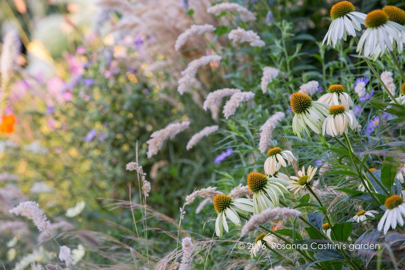 Jardïn de Rosanna Castrini en Piamonte, Italia Jardïn de Rosanna Castrini en Piamonte, Italia