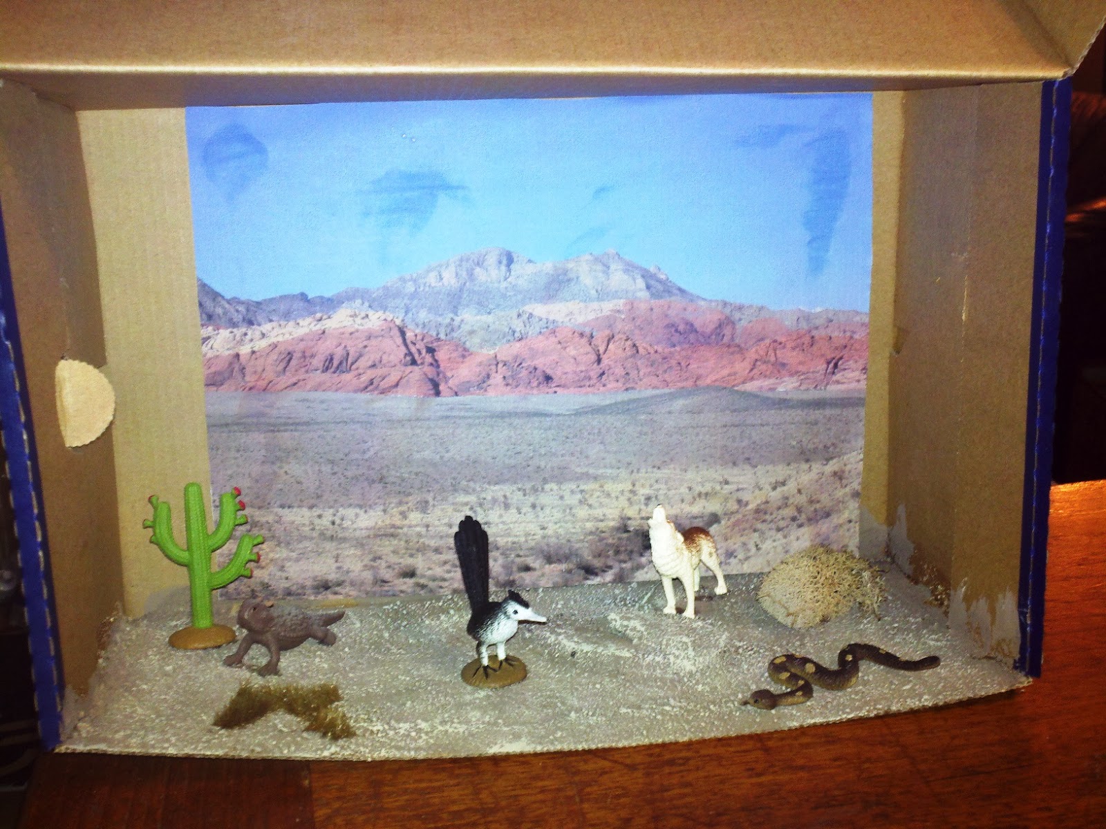 Desert Diorama Shoebox