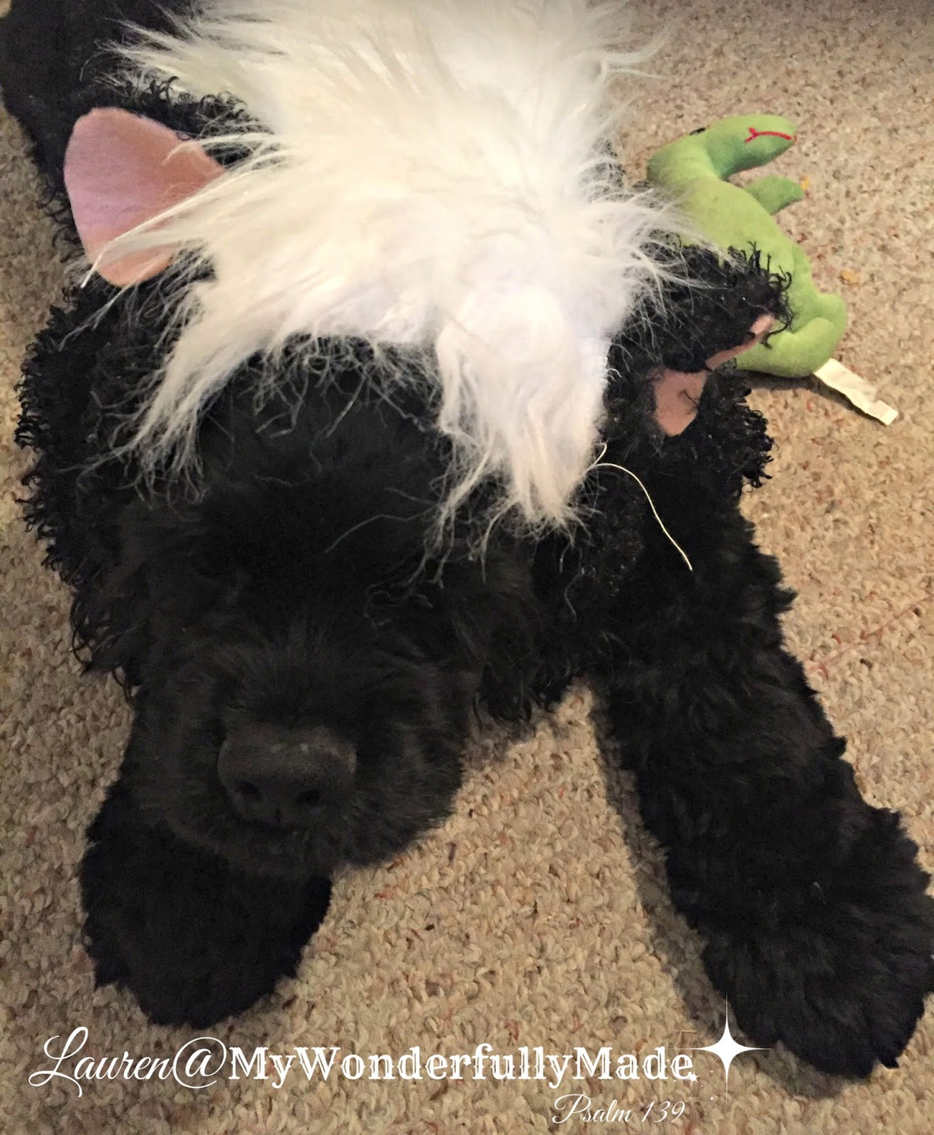"Wonderfully Made": My "Little Stinker" Skunk Dog Costume