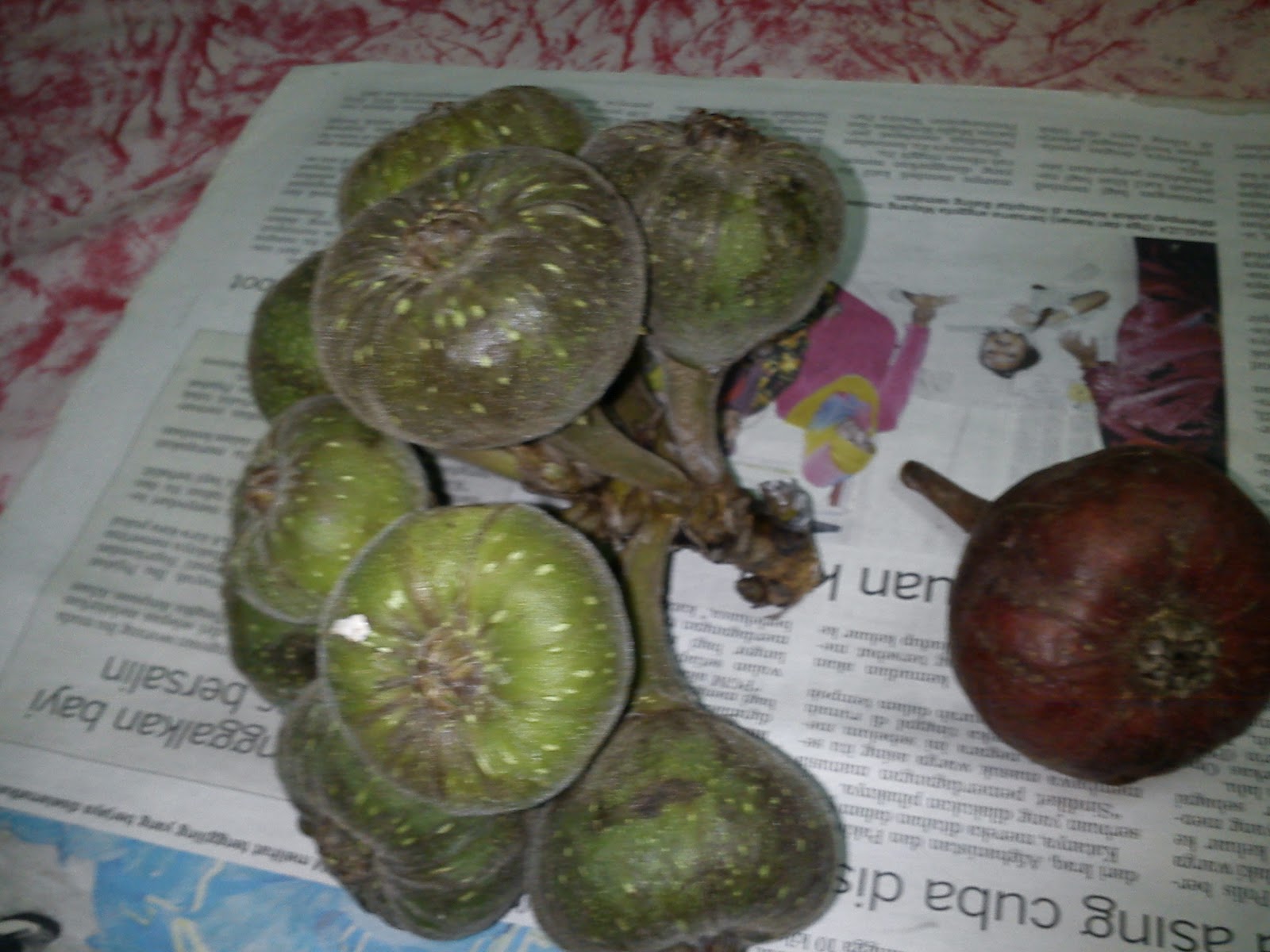 Buah ara