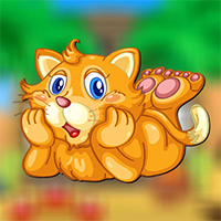 AvmGames Playful Cat Escape