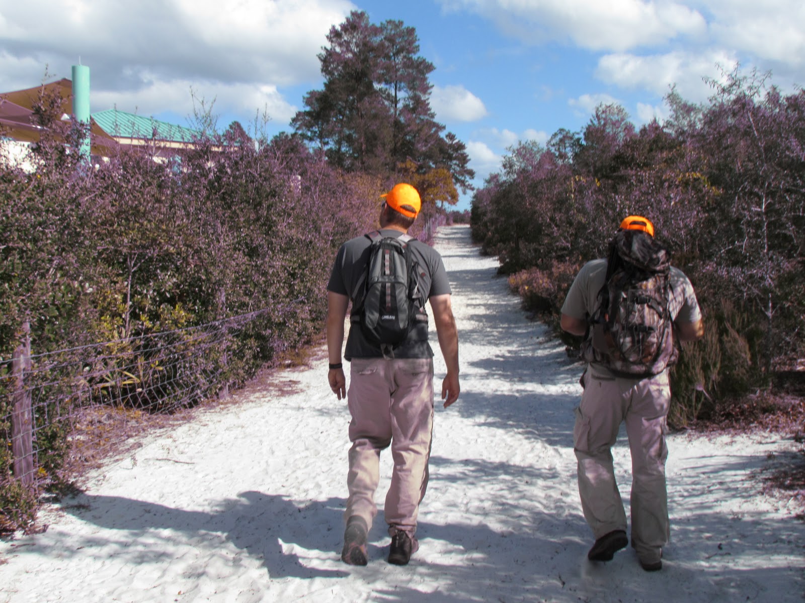 WildWildernessWalkers Hiking Lyonia Preserve(Volusia County Florida)