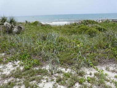 Apollo Beach