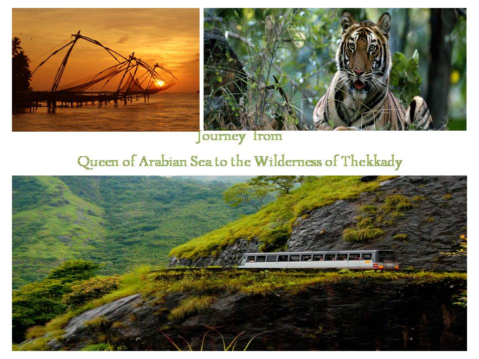 Cochin to Thekkady Direct Bus Timings with Ticket Charges and Route Map