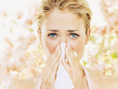Eucalyptus Oil Can Stop Spreading of the Cold and Flu Viruses!