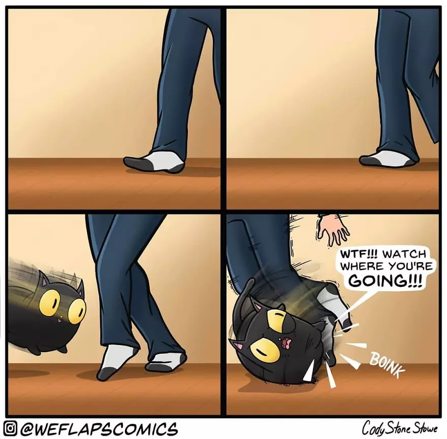 30 Hilariously Honest Comics That Depict What Living With A Cat Is Like