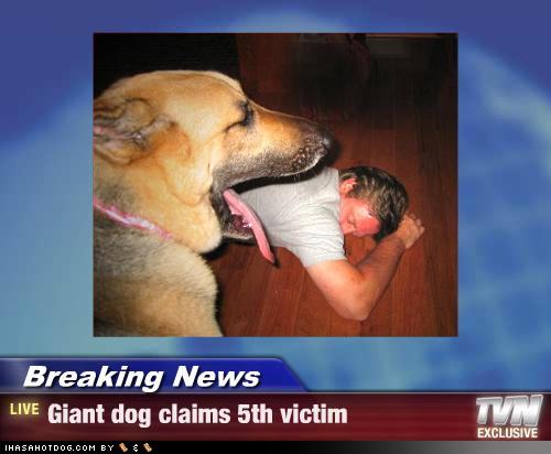 breaking-news-a-giant-dog-eat-victim-funny-pinoy-jokes-photos-2012.jpg