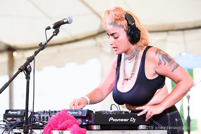 Chippy Nonstop at Hillside Festival on Saturday, July 13, 2019 Photo by John Ordean at One In Ten Words oneintenwords.com toronto indie alternative live music blog concert photography pictures photos nikon d750 camera yyz photographer