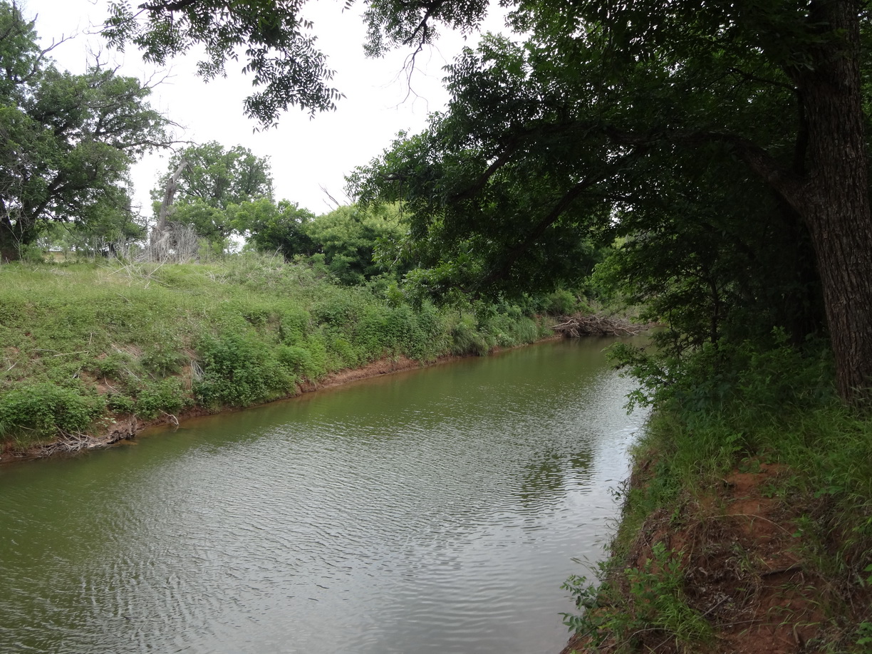 Chris's Genealogy Journey May 17th The Search for the Tipton Cemetery