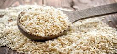 Come risolvere mancanza fosforo allevamento riso selvatico
