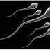 Sperm Interesting facts, sperm benefits, use of sperm in cosmetic