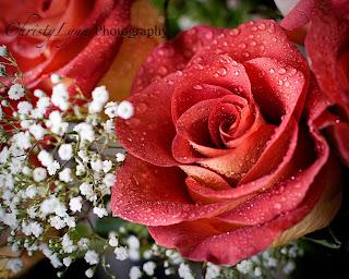 Citations Et Proverbes Sur Les Fleurs