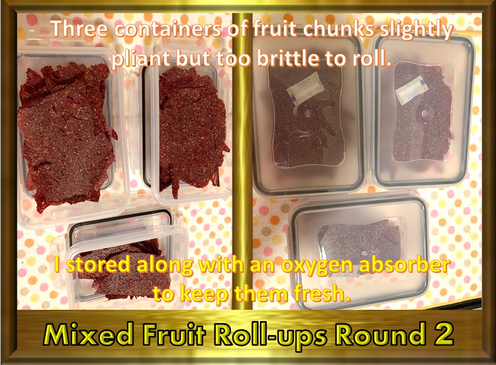 Cosori Food Dehydrator Review Fun Fruit Candy Video Recipe