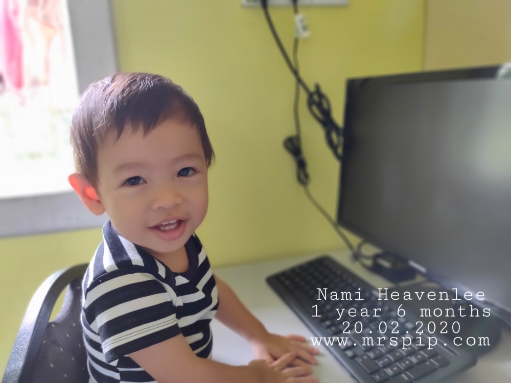 jurnal perkembangan toddler jurnal perkembangan toddler