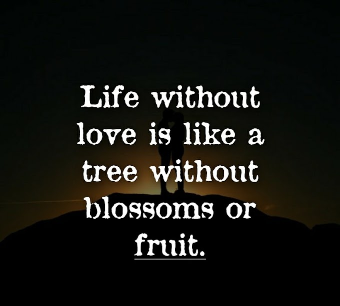 Romantic Love Quotes | Inspiring Love Shayari for Lovers | Love Status in English