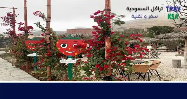 ملبورن مزيج وسط البلد حديقة الورد الهدا caringforcarersindacorum com